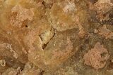 Fluorescent Calcite Crystal Cluster - Morocco #276967-1